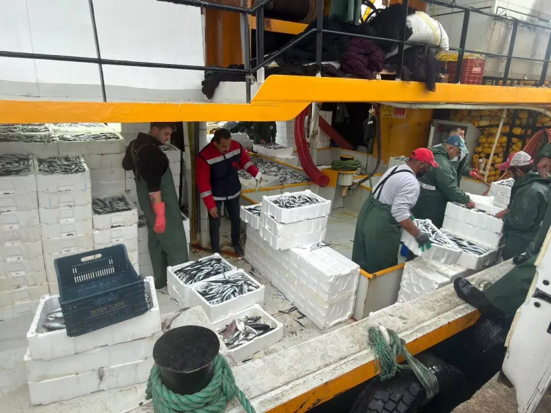 Didim’de Balıkçılık Faaliyetlerine Kota Denetimi