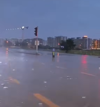 AYDIN’DA FIRTINA DEHŞETİ! 15 DAKİKADA AĞAÇLAR YERİNDEN SÖKÜLDÜ